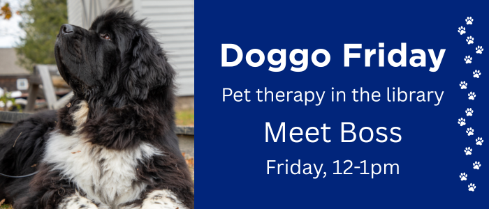 Doggo Friday: pet therapy in the library. Meet Boss Friday 12-1pm