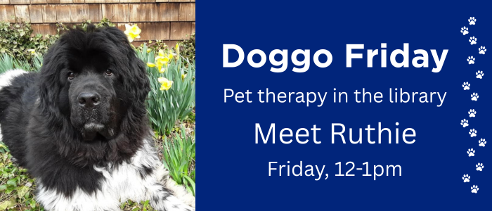 Doggo Friday: pet therapy in the library. Meet Ruthie Friday 12-1pm