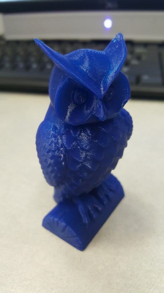 Owl