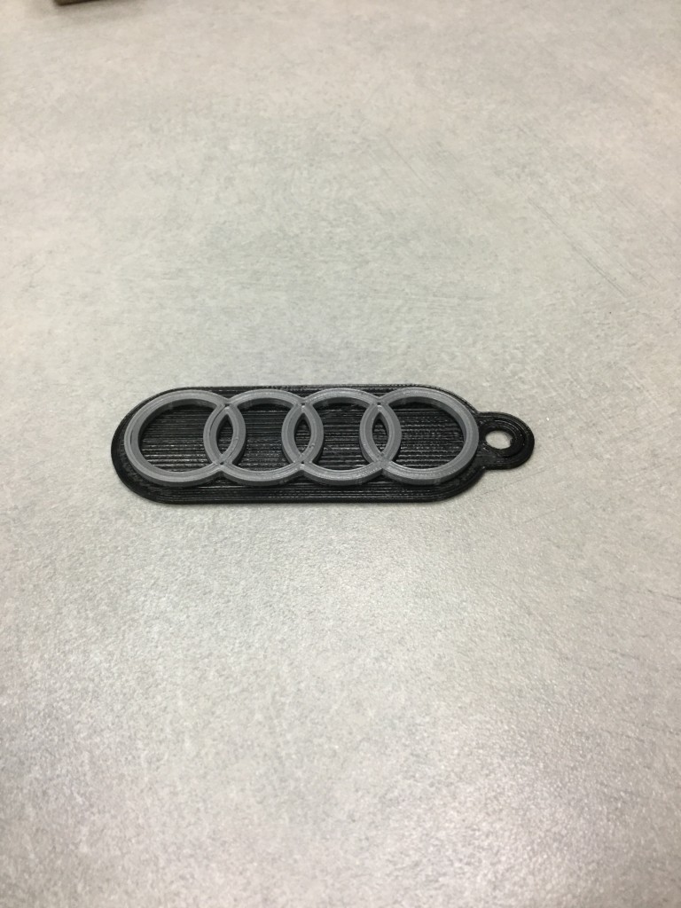 Audi Keychain