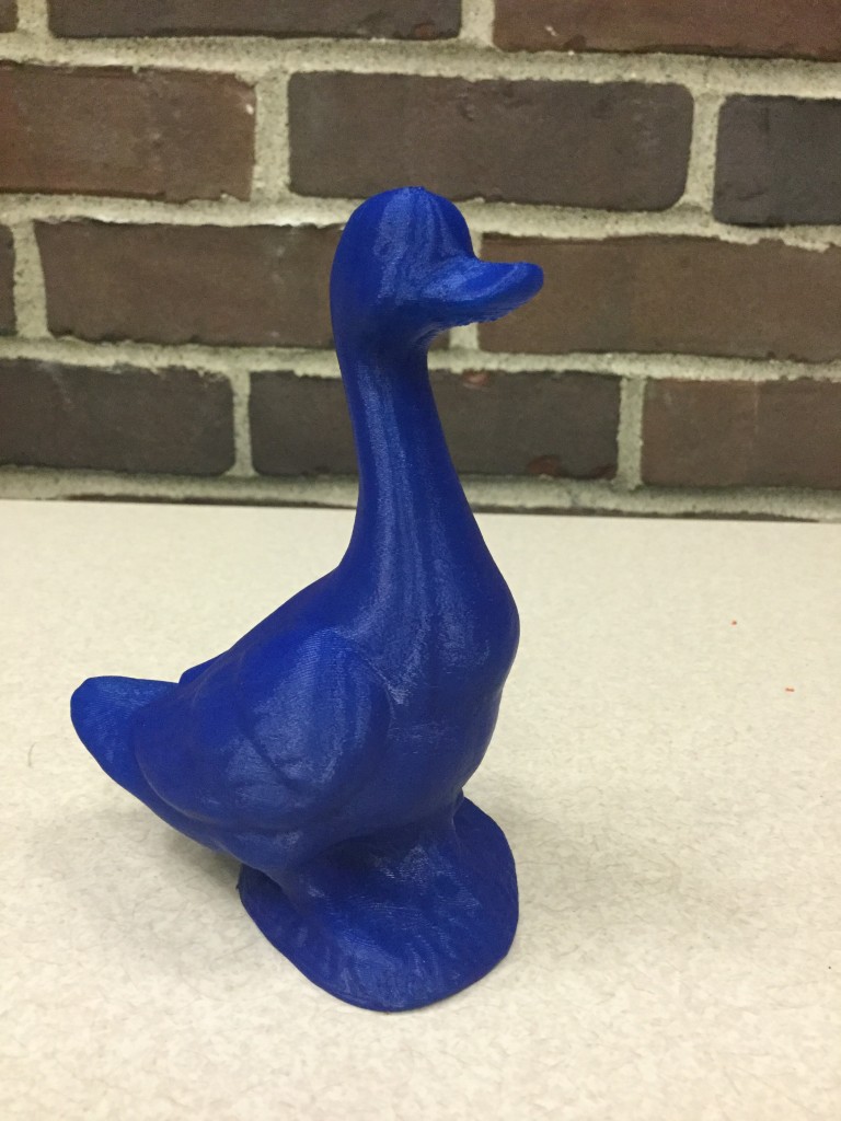 Duck